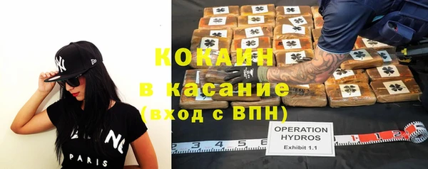 шишки Михайловск