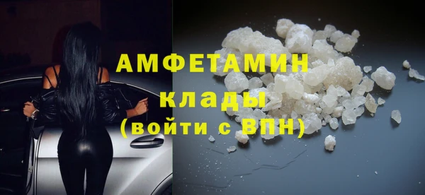 шишки Михайловск