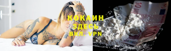 шишки Михайловск