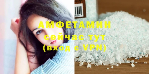 шишки Михайловск