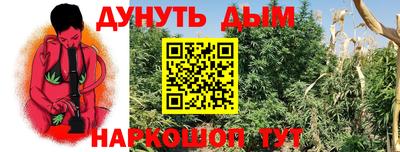 каннабис Камышлов