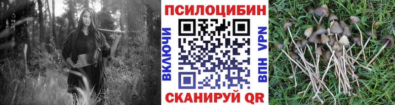 Псилоцибиновые грибы прущие грибы  Элиста 