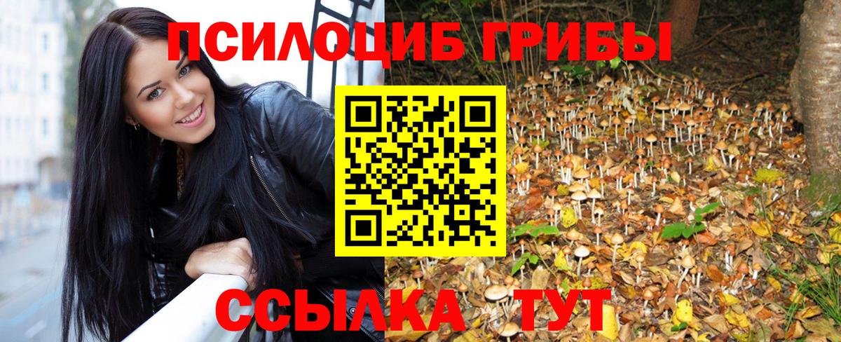 Псилоцибиновые грибы Cubensis Элиста