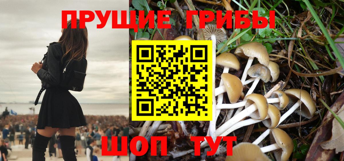 Элиста  Псилоцибиновые грибы Magic Shrooms  закладка  Вход с VPN  Псилоцибиновые грибы ЛСД 